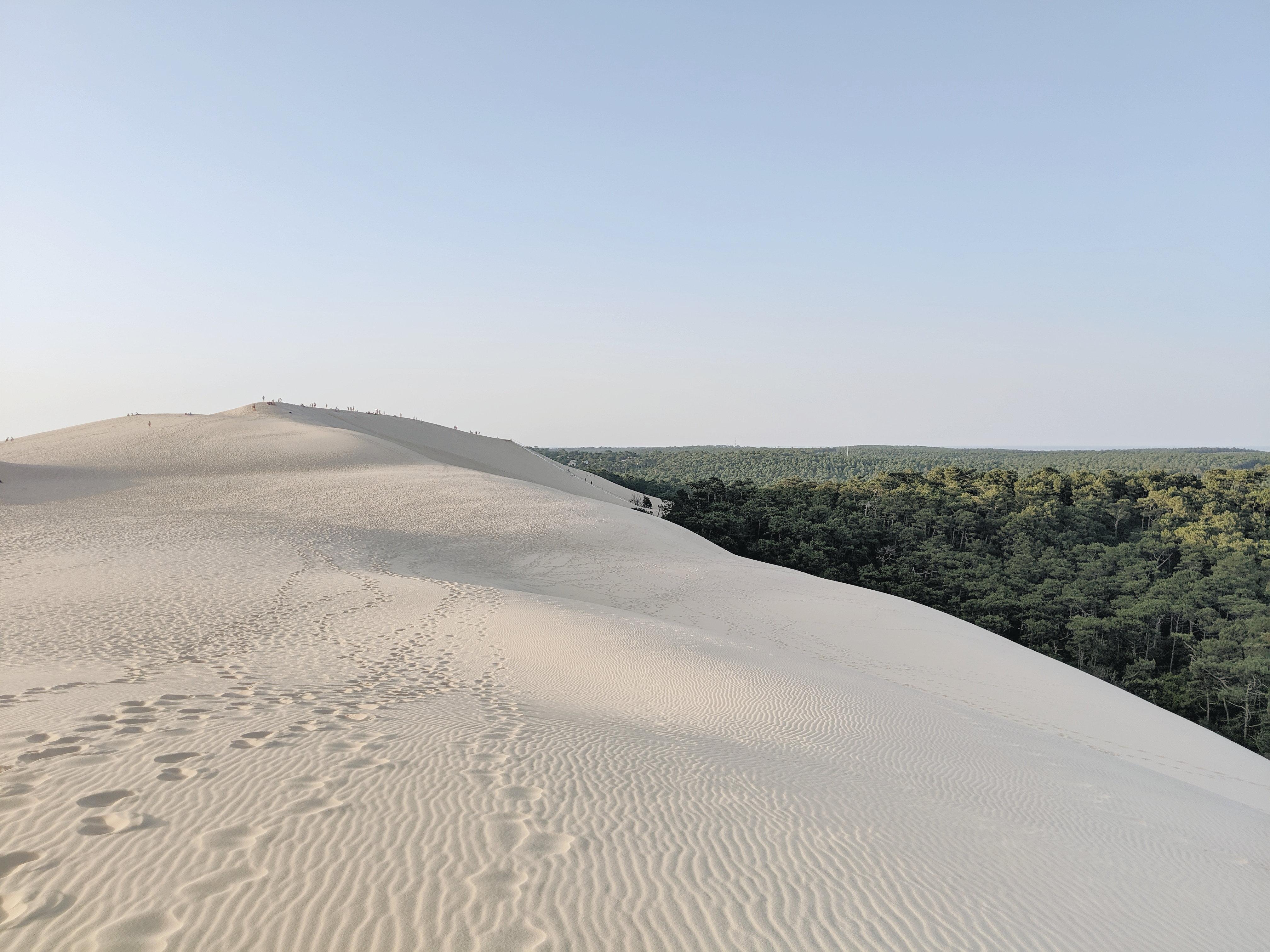 Intercontinental Bordeaux Le Grand Hotel By Ihg Ngoại thất bức ảnh The dunes at the park