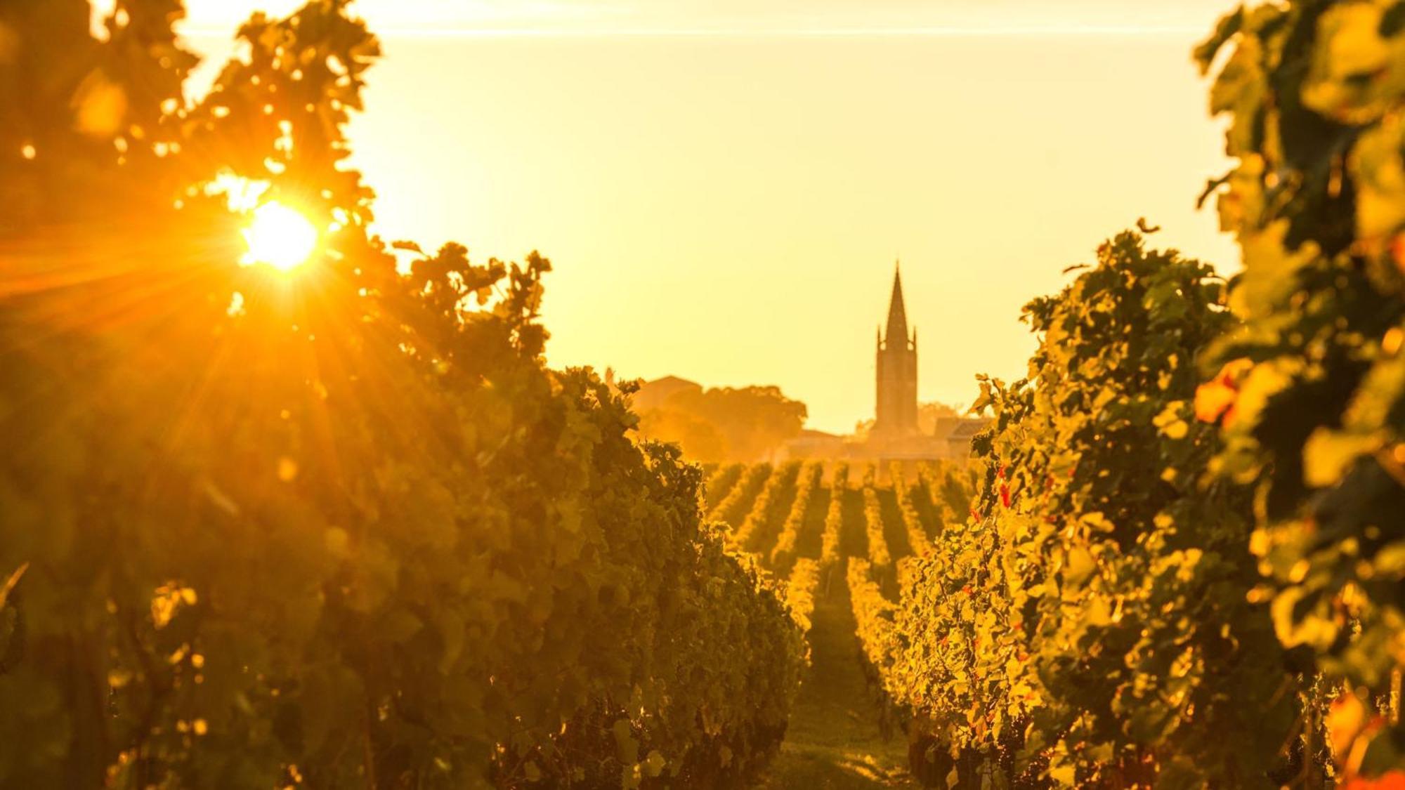 Intercontinental Bordeaux Le Grand Hotel By Ihg Ngoại thất bức ảnh Vineyards in the Rheinhessen